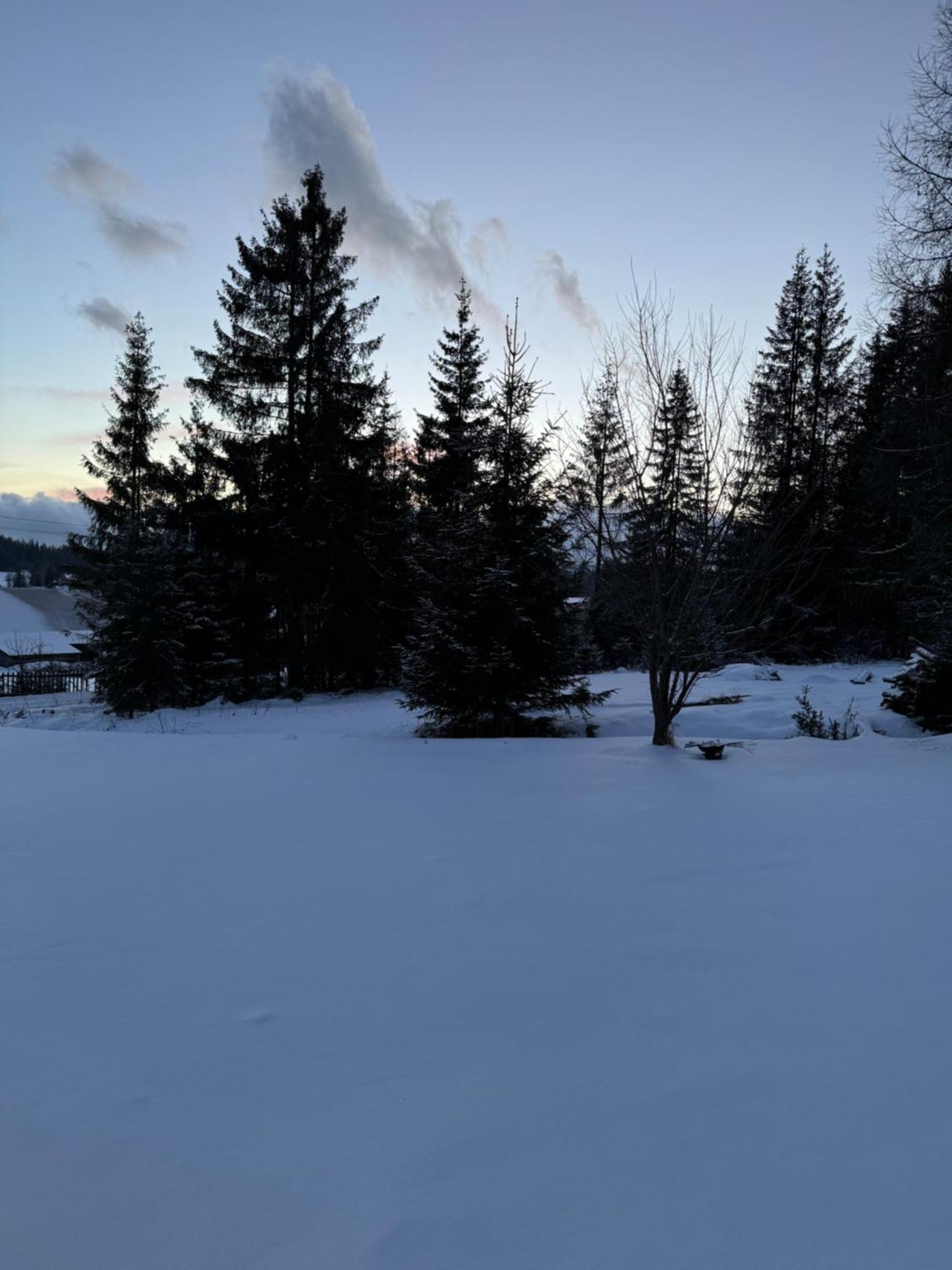 Orawska Knieja 2.0 Villa Lipnica Wielka Luaran gambar