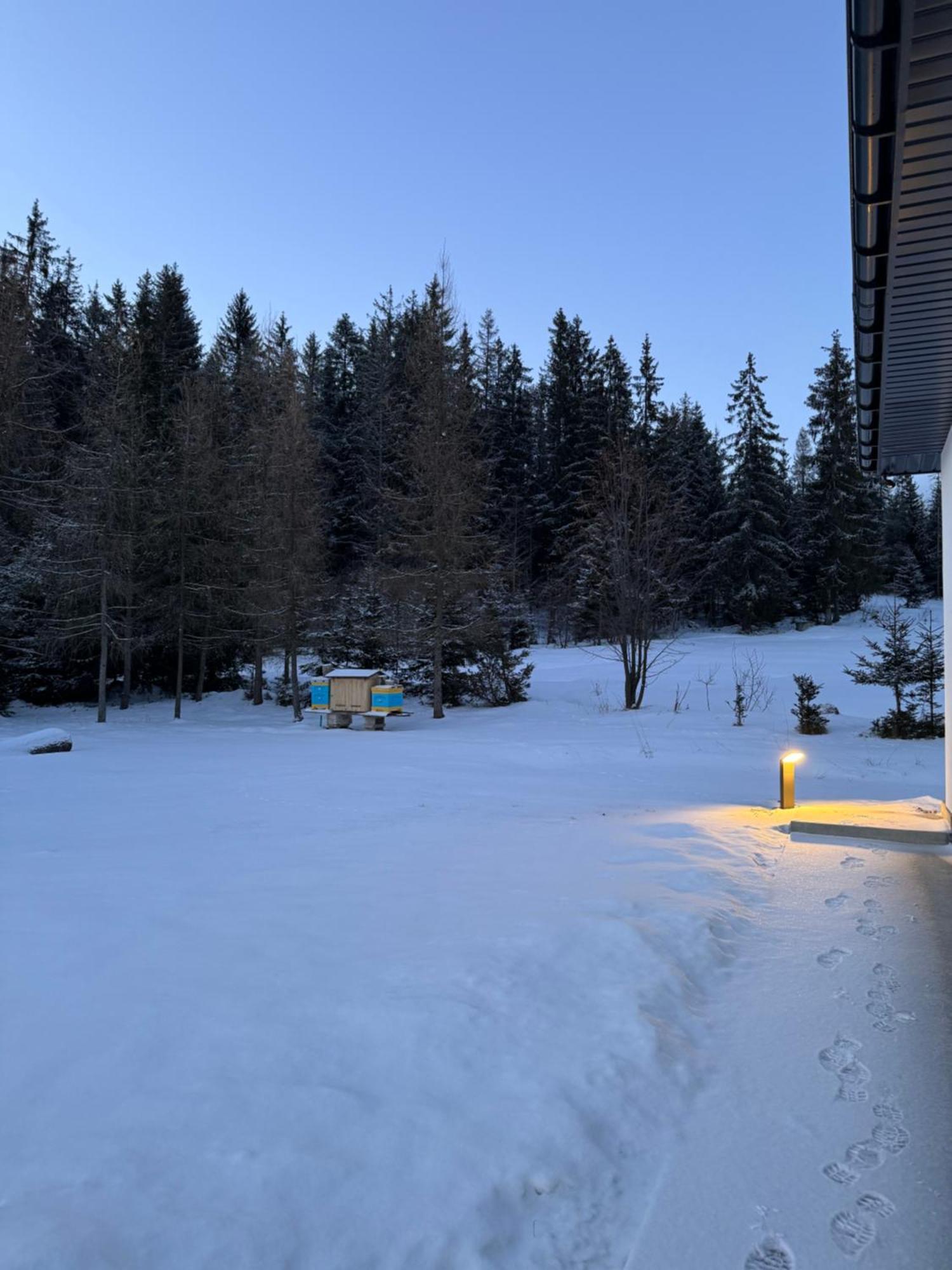 Orawska Knieja 2.0 Villa Lipnica Wielka Luaran gambar